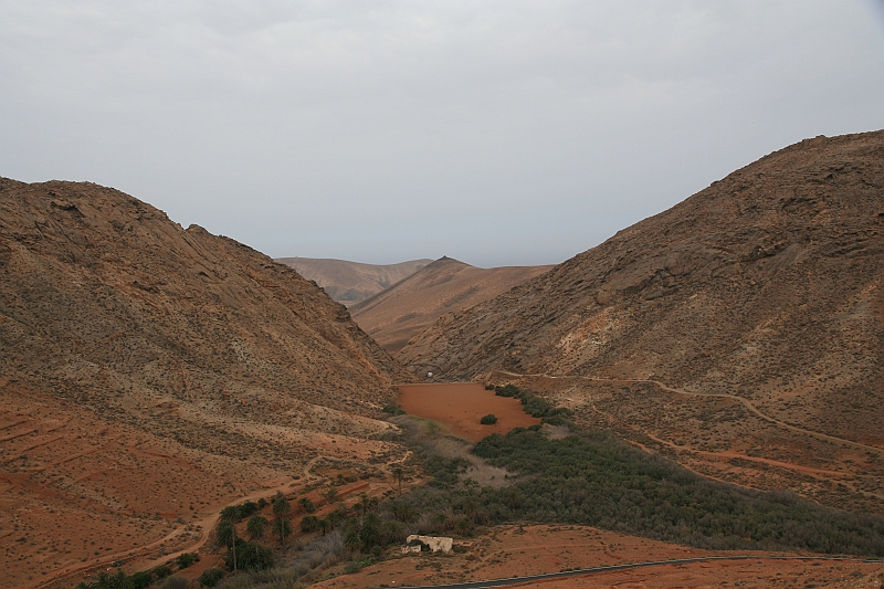 Kanary_2010 112
